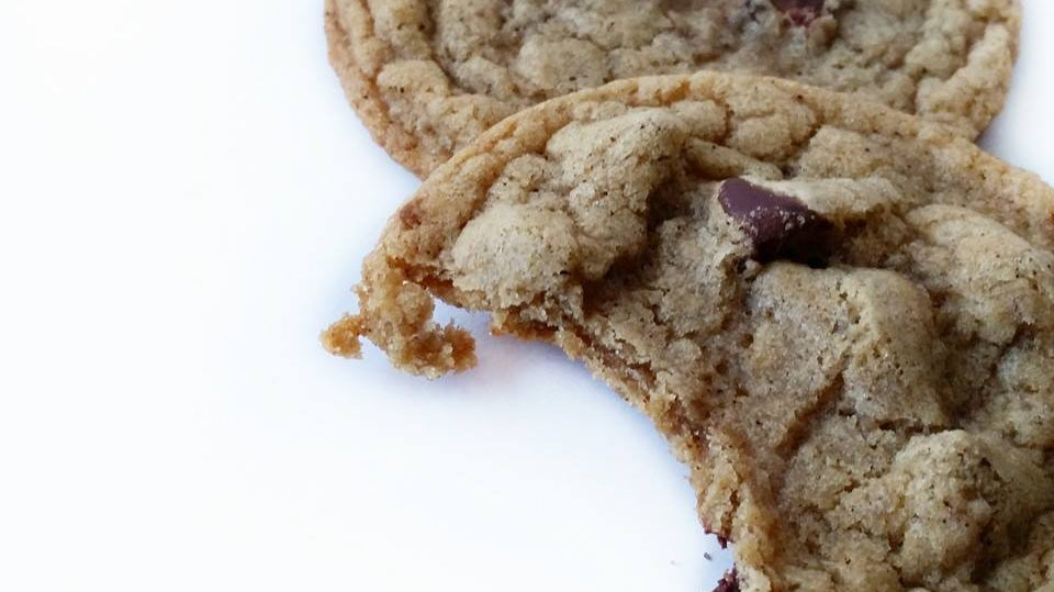 An Attitude of Gratitude