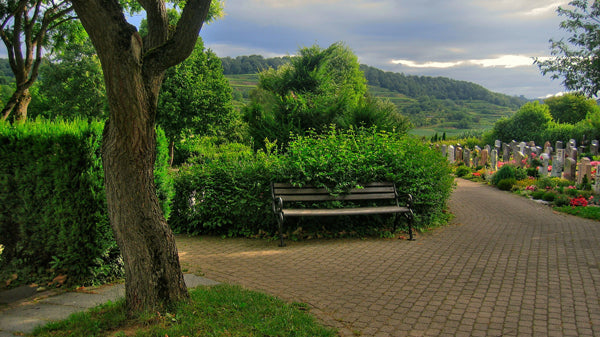 A Widow's Testimony of God's Grace and Mercy