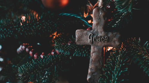 Encouragement When You're Grieving at Christmas