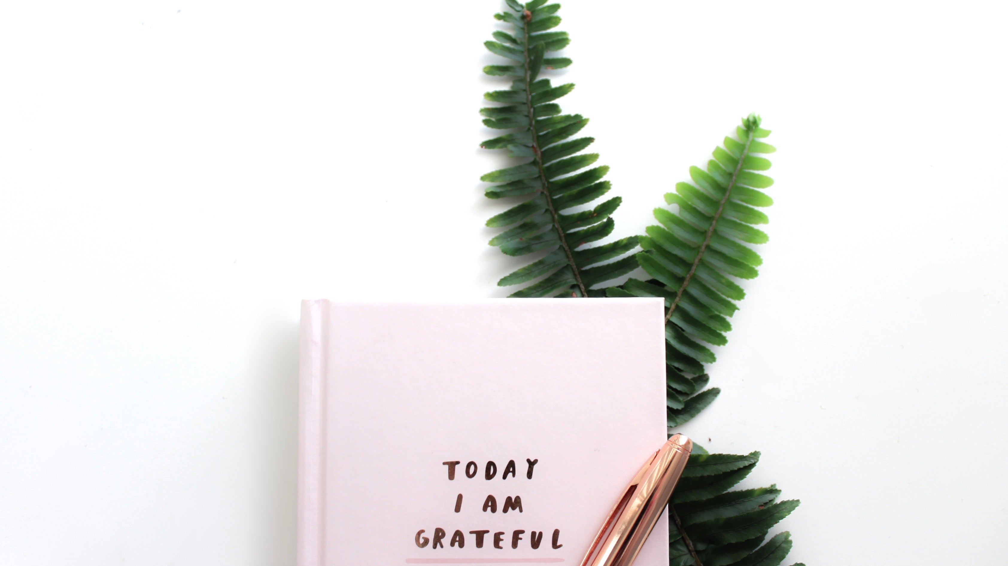 Finding Contentment In The Center Of His Will