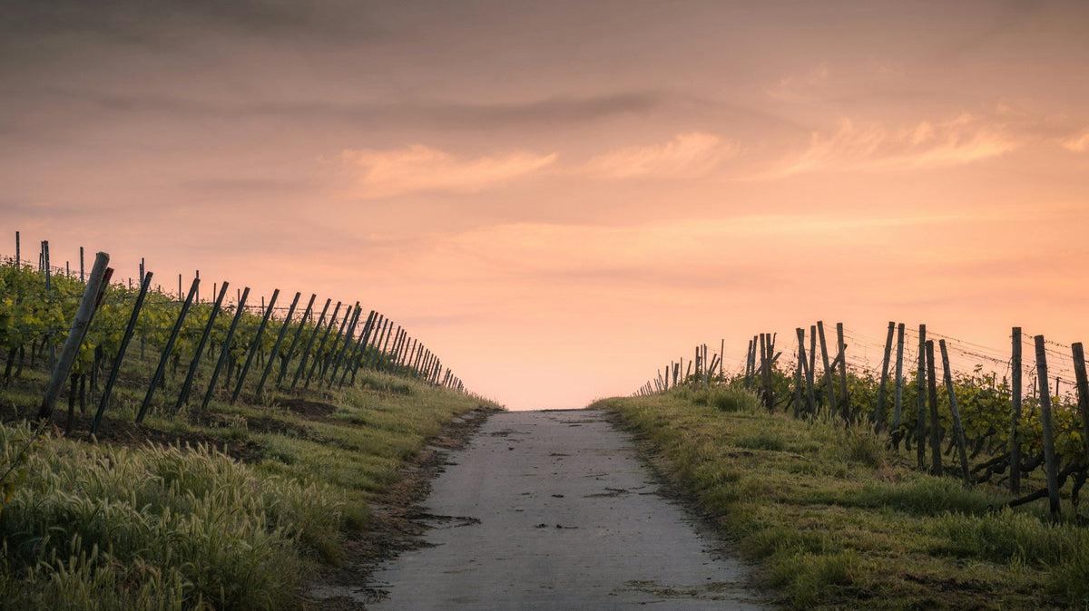 Exploring the Seven Churches of Revelation: Messages For Today I Found On My Biblical Journey