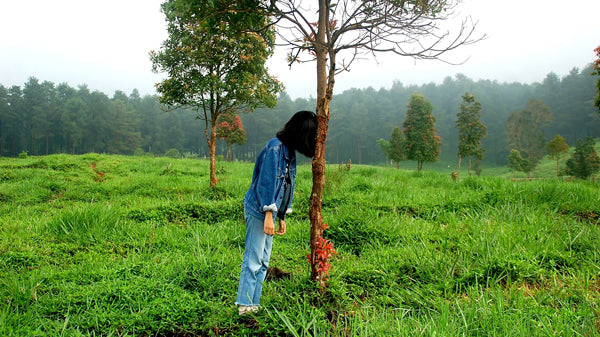 The Power Within Weakness