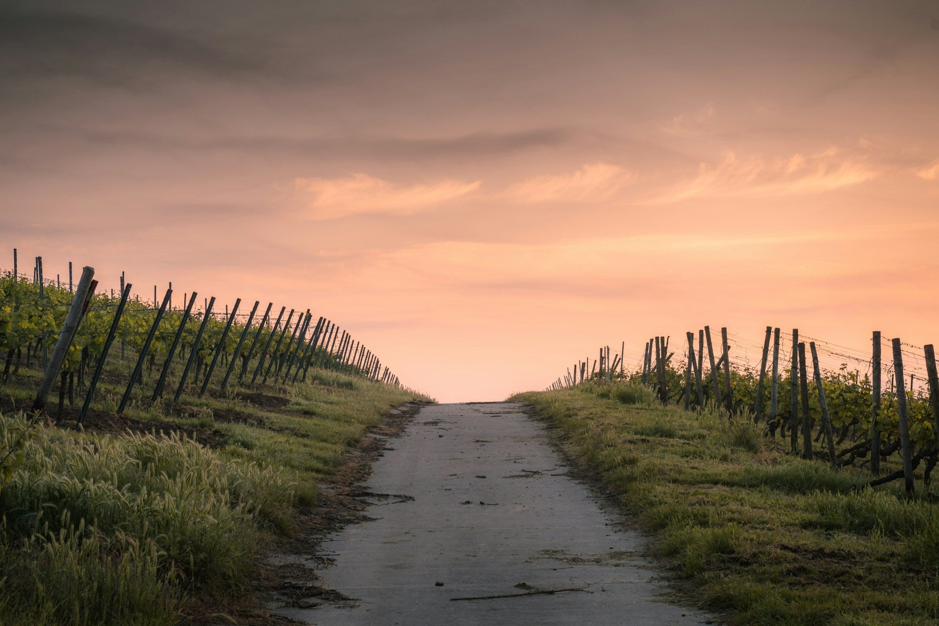 Exploring the Seven Churches of Revelation: Messages For Today I Found On My Biblical Journey