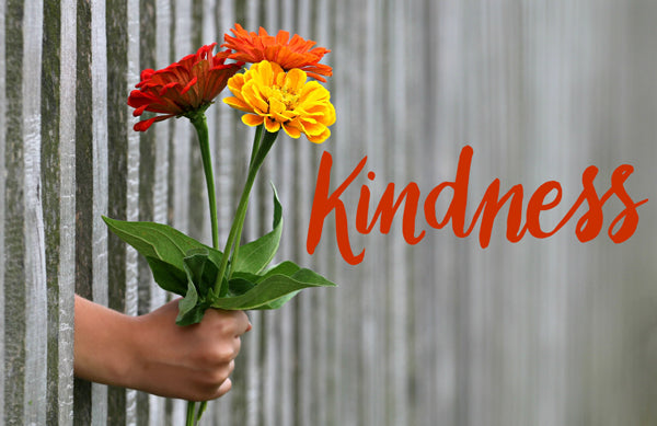 Kindness Inspires Kindness